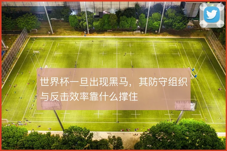 世界杯一旦出现黑马，其防守组织与反击效率靠什么撑住