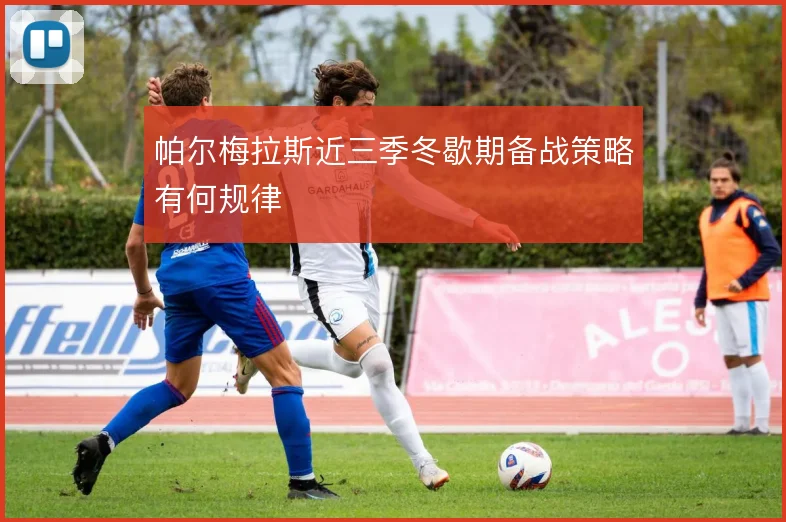 帕尔梅拉斯近三季冬歇期备战策略有何规律